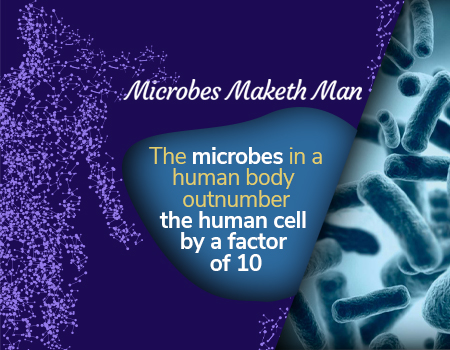 The Probiotic Workshop