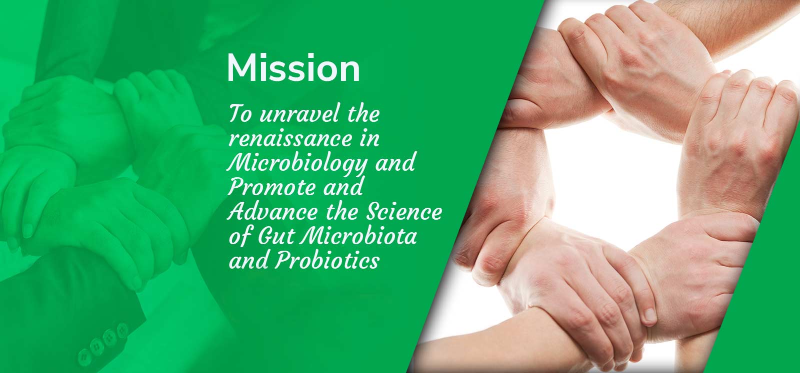 Gut Microbiota and Probiotic Science Foundation (India)